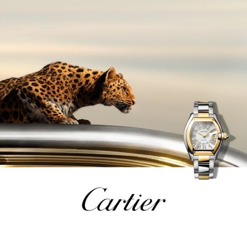 cartier-banner-mobil-640x592 cartier-banner-mobil-640x592